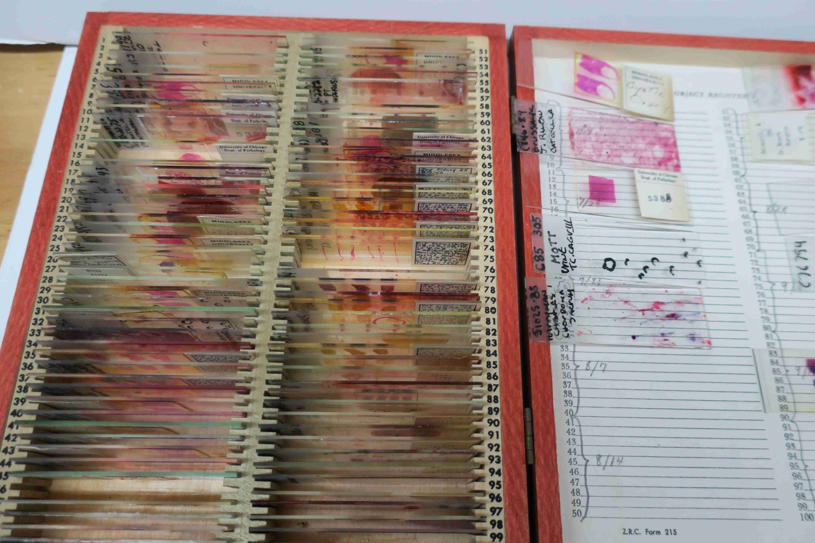Mixed medical / biological microscope slides Mixed medical / biological microscope slides