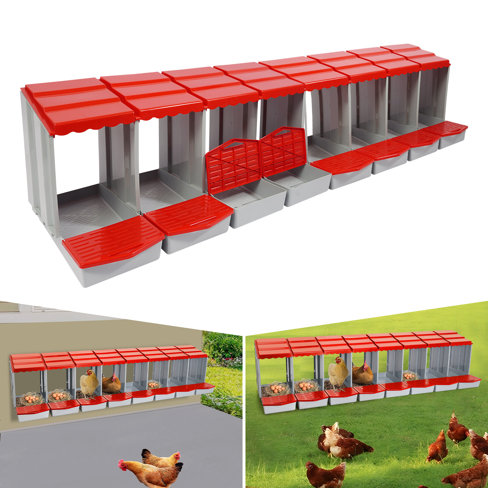 Modern 8-Compartment Chicken Nesting Box Chicken Laying Box with Egg Collection