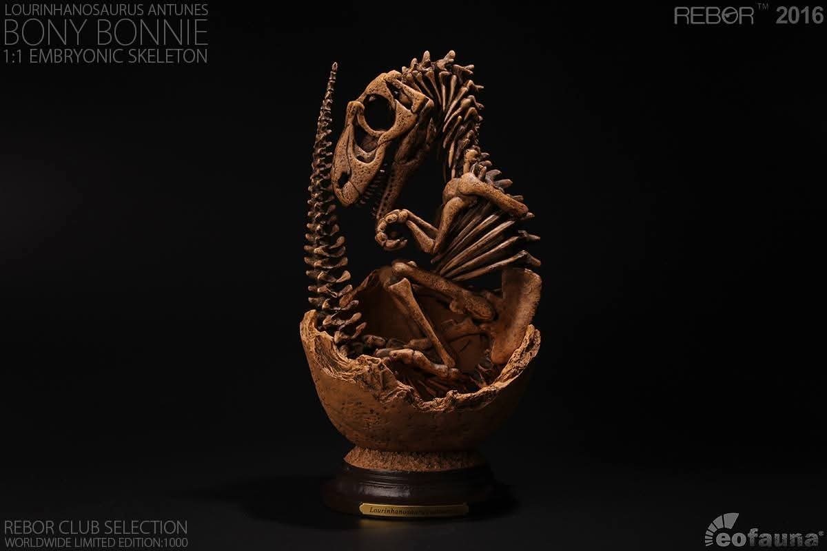 REBOR BONY BONNIE Lourinhanosaurus Embryonic Skeleton Limited #122 Of 1000 Made