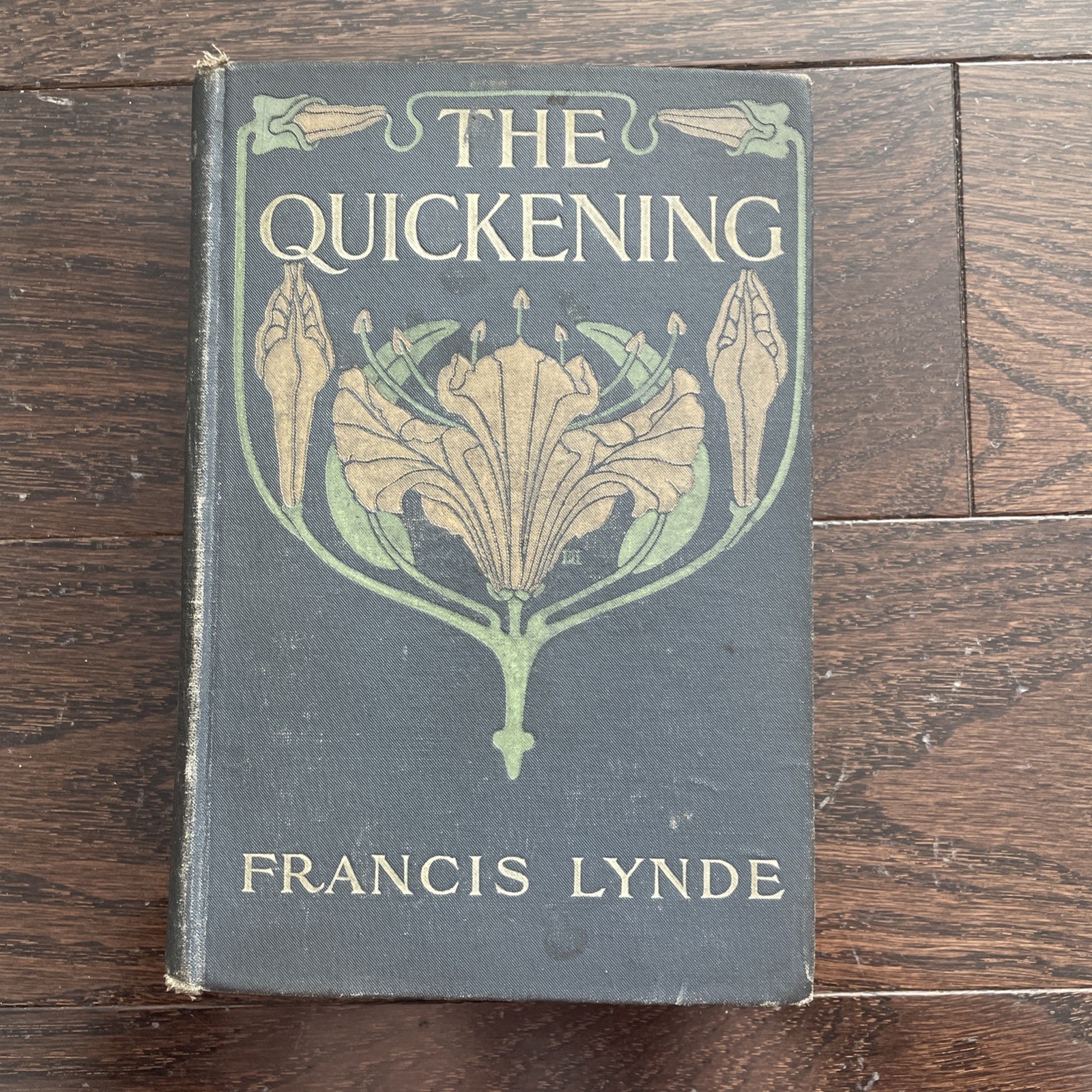 1909 Antique Novel “The Quickening” Lynde 1909 Antique Novel “The Quickening” Lynde