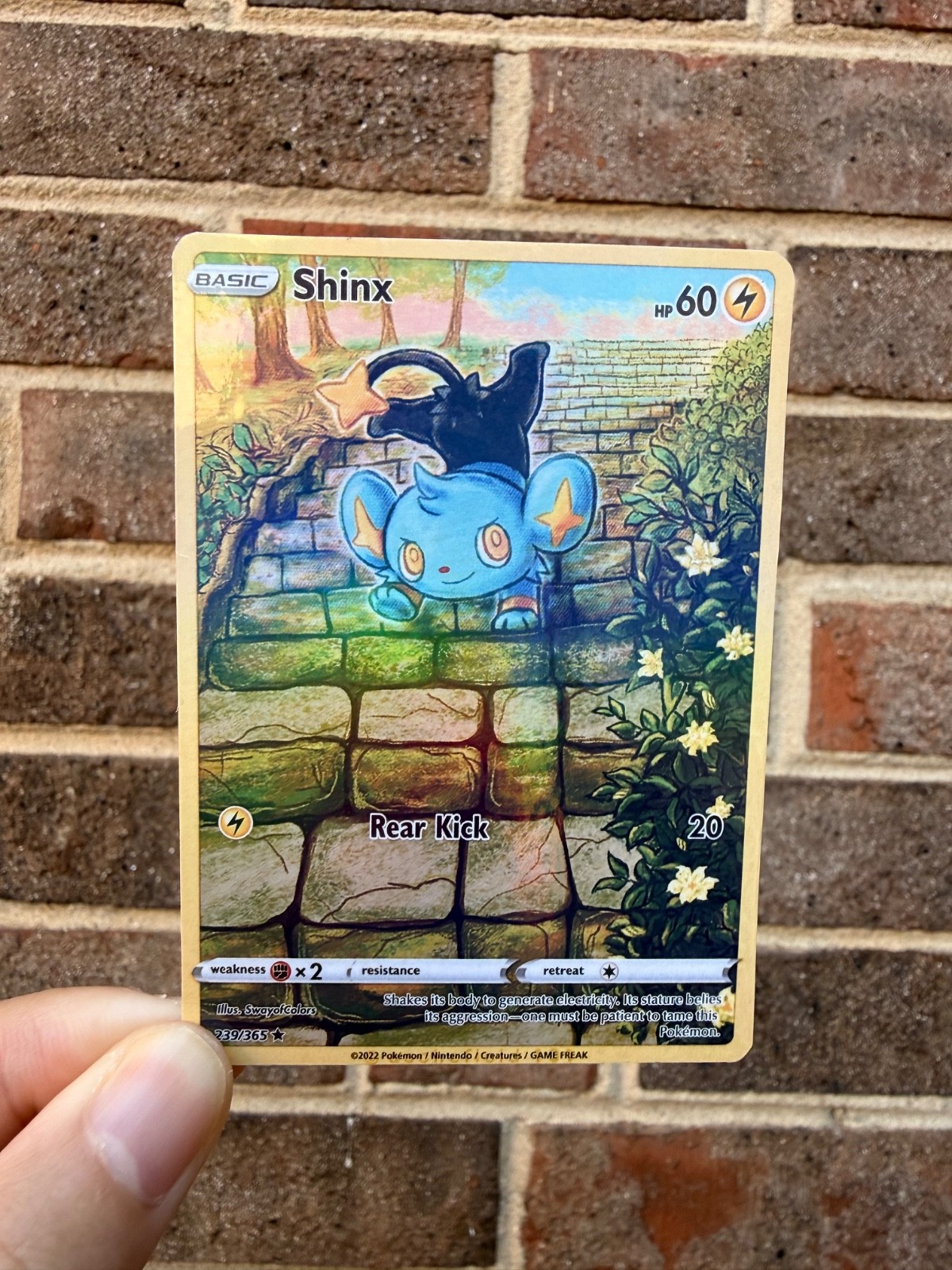 Shinx Fan Art Trading Card Handmade Custom Collectible Card