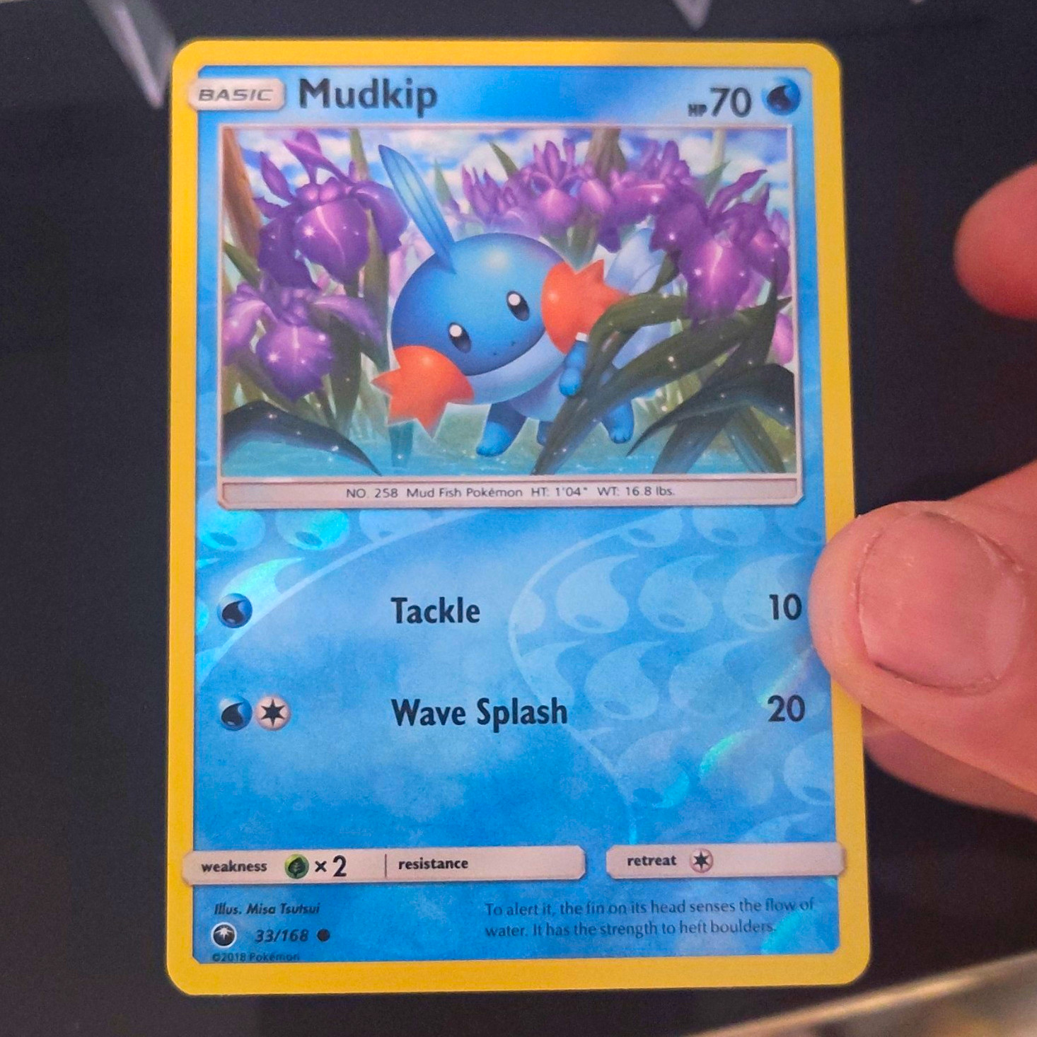 Mudkip 33/168 Celestial Storm Sun And Moon Reverse Holo