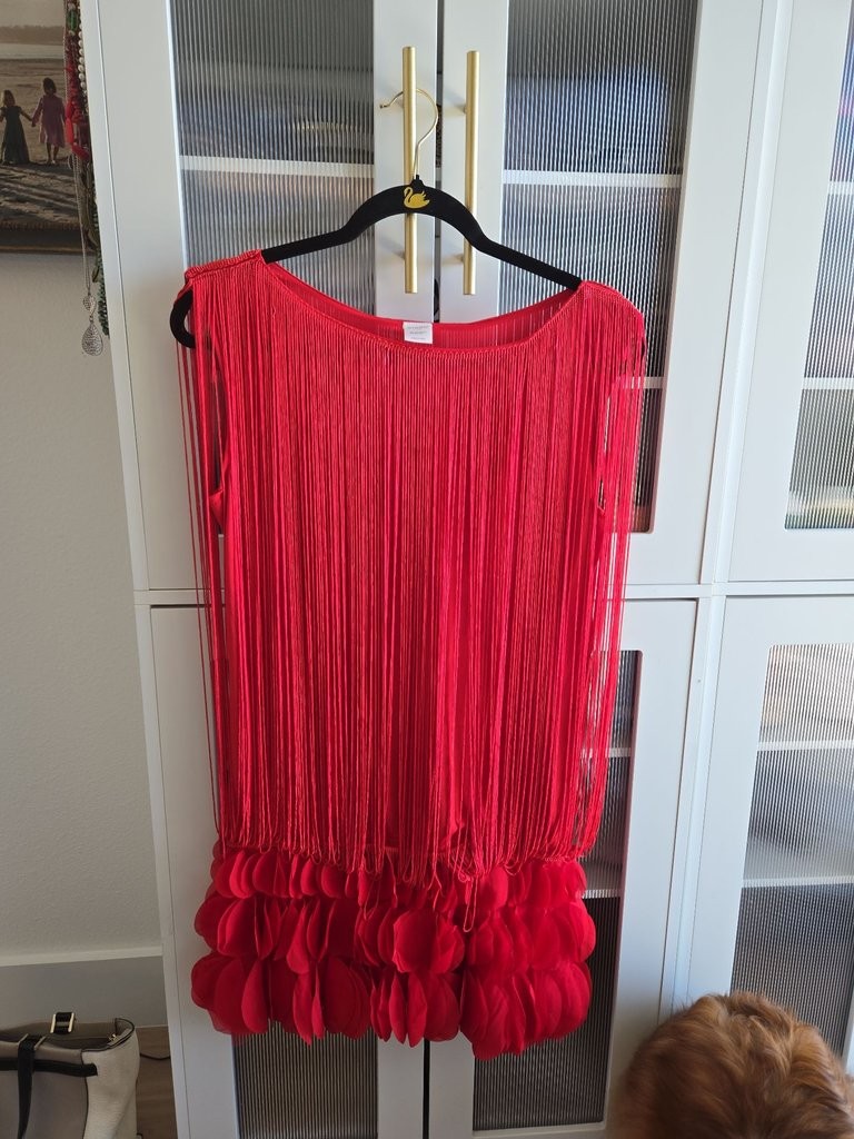 Anna-Kaci Red Fringe Flapper Dress