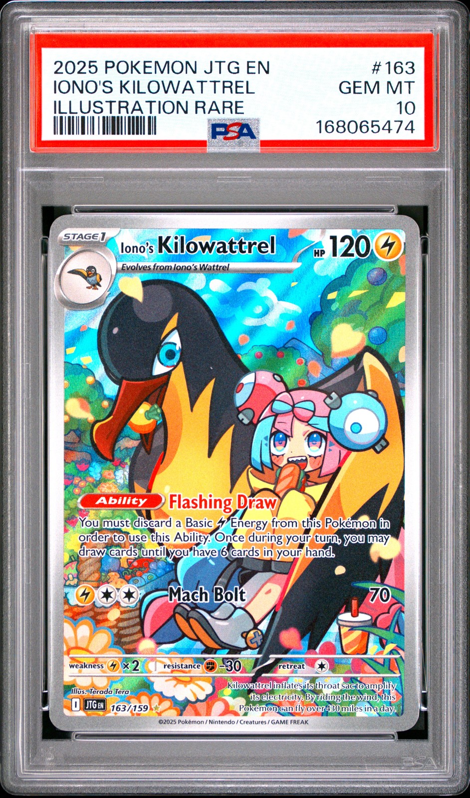 Iono\'s Kilowattrel 163/159 Illustration Rare Journey Together Pokemon PSA 10 Iono\'s Kilowattrel 163/159 Illustration Rare Journey Together Pokemon PSA 10