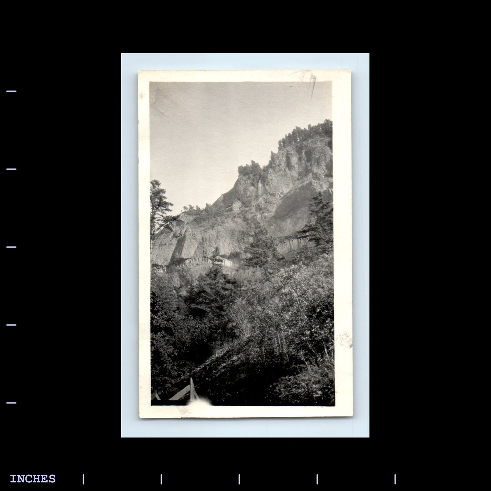Old Vintage Photo MOUNTAIN LANDSCAPE ROCKS TREES
