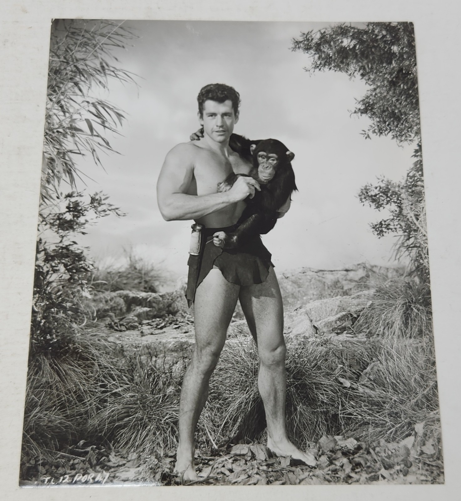 Vintage 1957 Gordon Scott Tarzan And The Lost Safari 8x9 Studio Press Photo