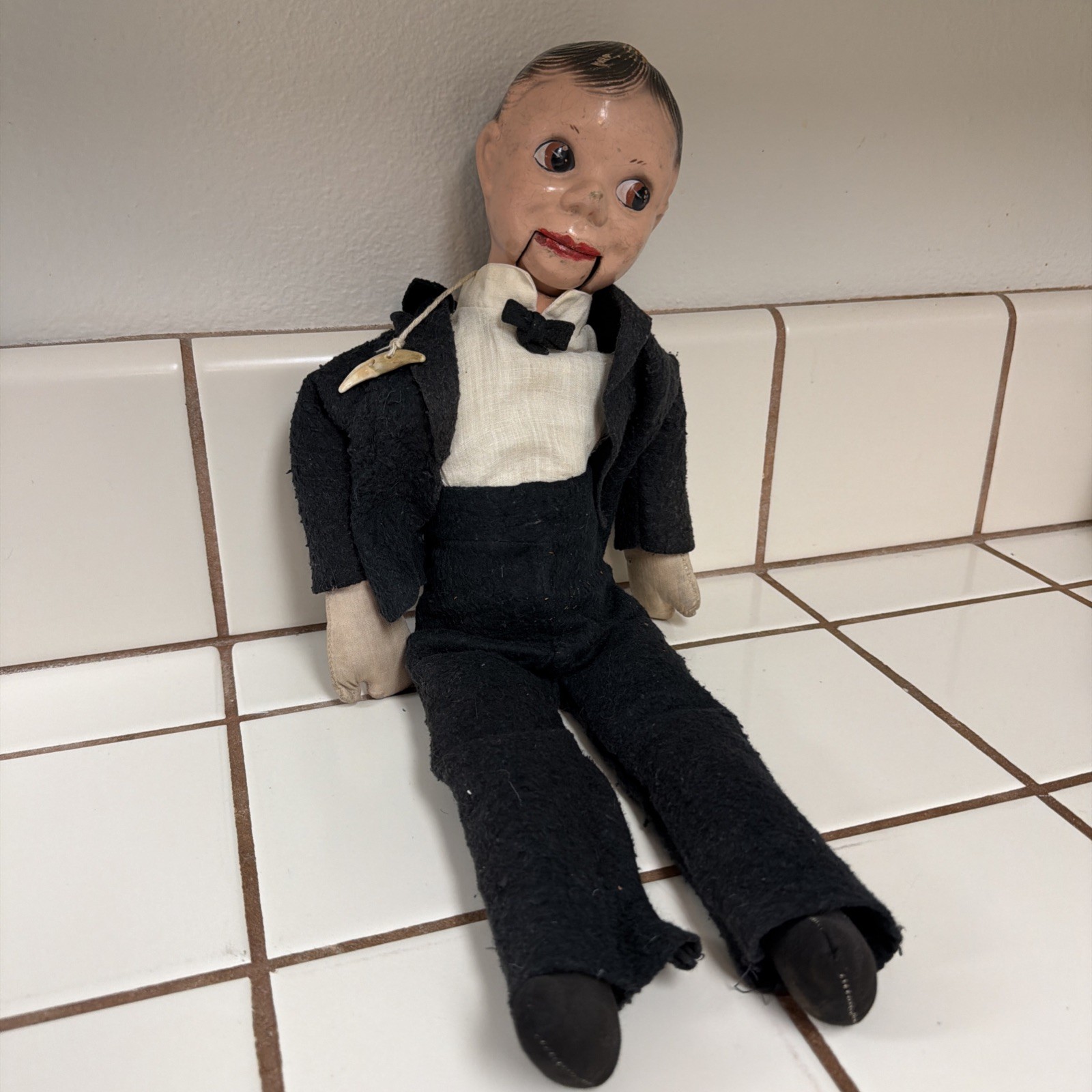 Freundlich DUMMY DAN (Ch McCarthy clone) - 20\