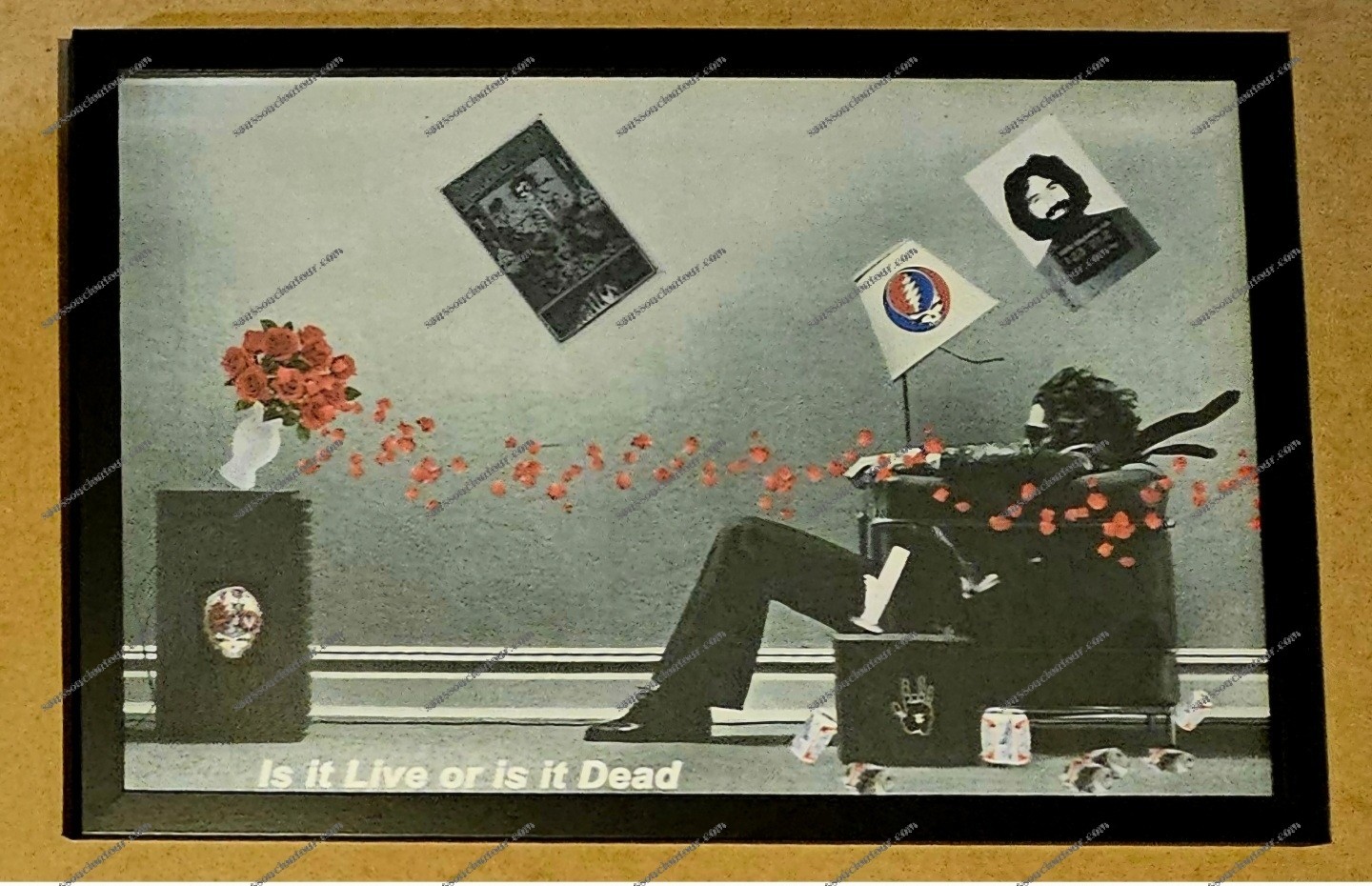 Grateful Dead - Is it Live or is it Dead 11