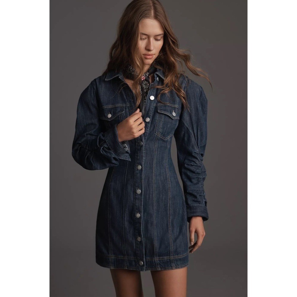 NWT Anthropologie PILCRO Long-Sleeve Button-Front Seamed Denim Mini Dress Small