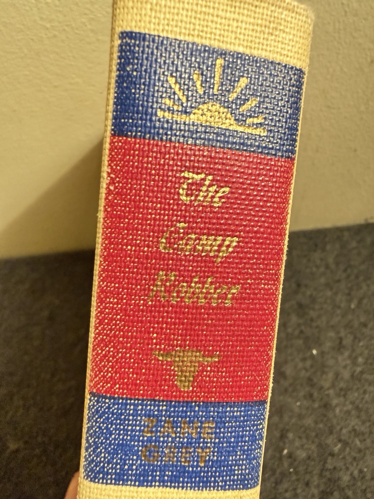 THE CAMP ROBBER by Zane Grey WALTER BLACK series solid Ex-Library HC