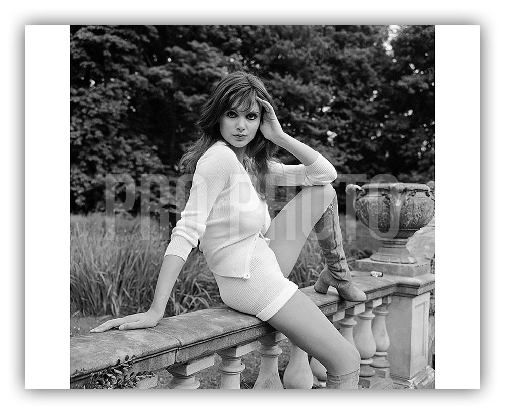 MADELINE SMITH 8x10 B/W Vintage Fashion Glamour Photograph