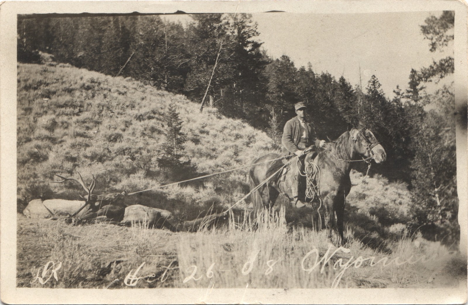 HAULING DEAD ELK wyoming wy 1908 postcard real photo rppc hunting hunter horse