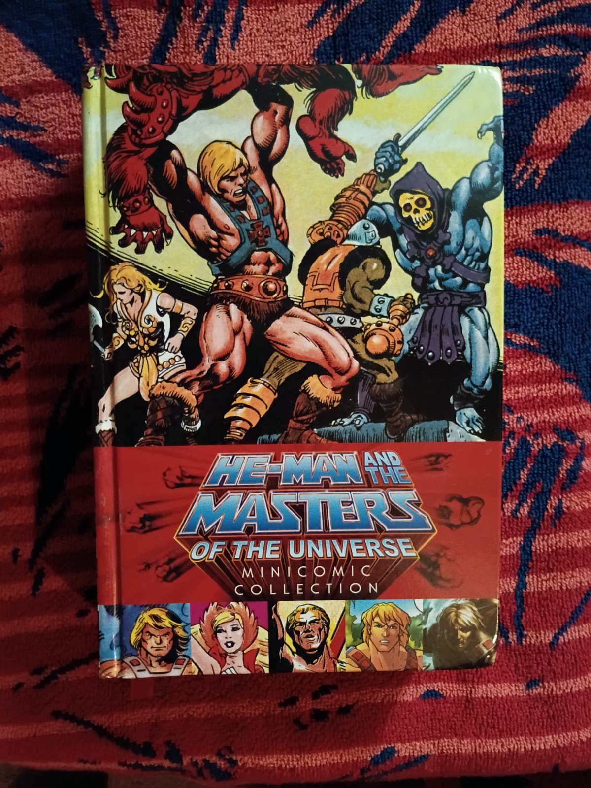 He-Man And The Masters Of The Universe Minicomic Collection Hardcover Dark Horse He-Man And The Masters Of The Universe Minicomic Collection Hardcover Dark Horse