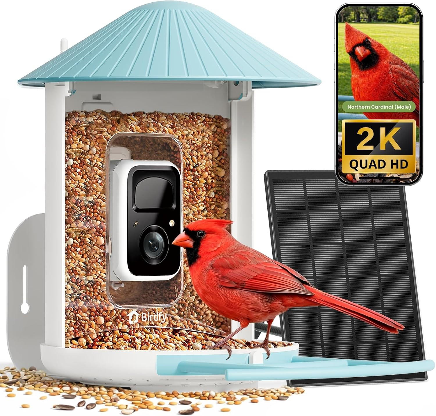 NETVUE by Birdfy Smart Bird Feeder with 2K AI Camera (Feeder 1)