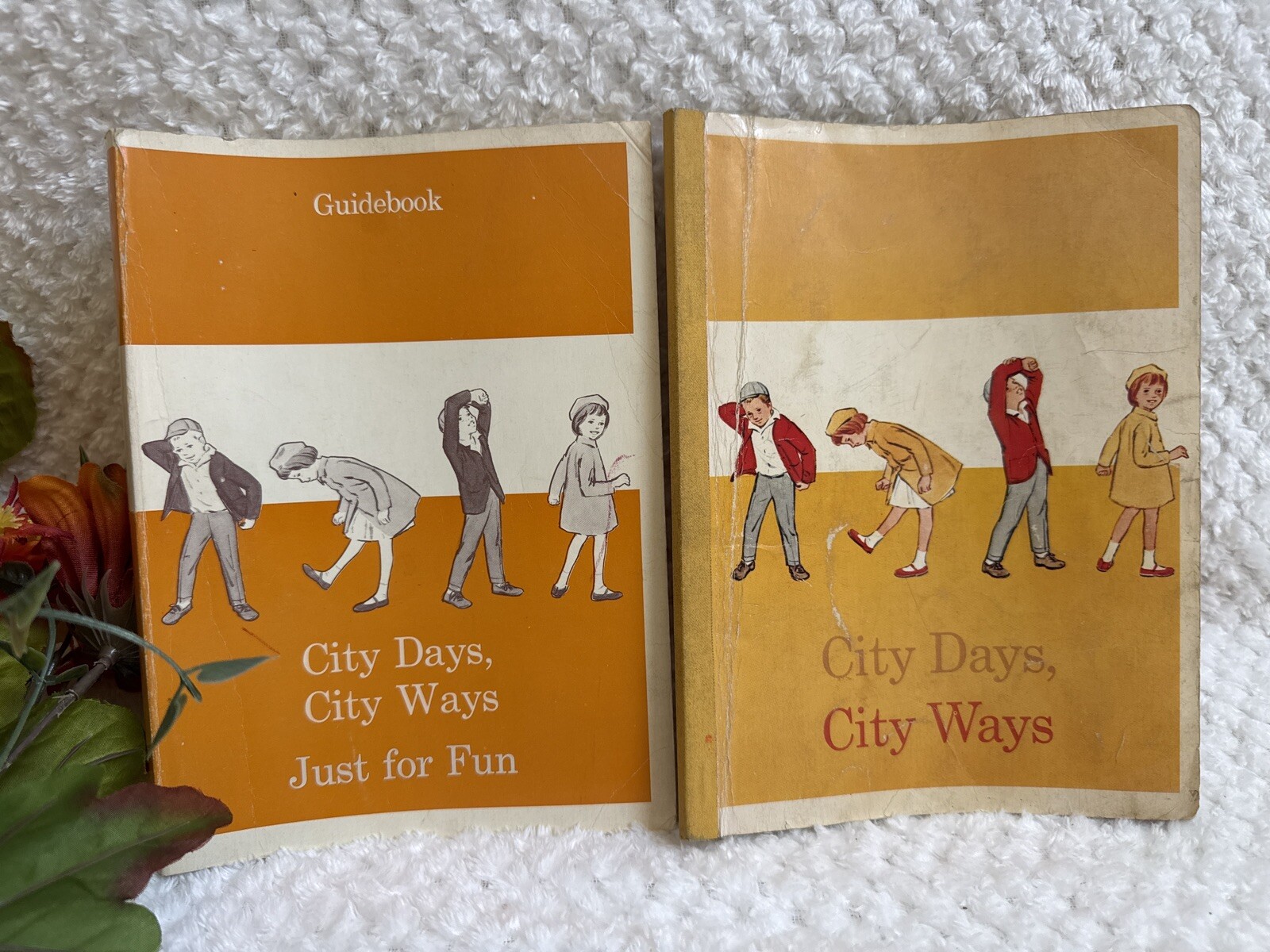 Rare Vintage 1966 City Days, City Ways & Teacher StudentGuide Set - Harper & Row
