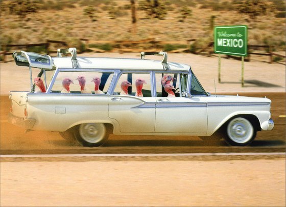 Turkeys in Station Wagon Funny Thanksgiving Card - Greeting Card by Avanti Press