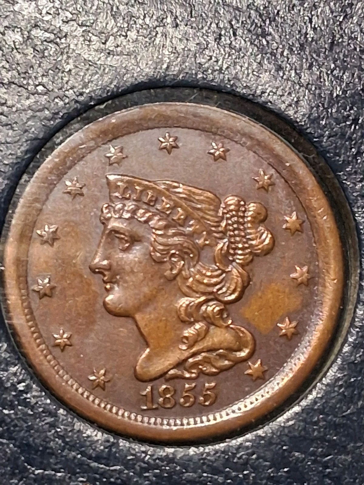 1855 BRAIDED HALF CENT. MS/ BU/ BN. HIGH RATED MS. COLLECTORS CHOICE 1855 BRAIDED HALF CENT. MS/ BU/ BN. HIGH RATED MS. COLLECTORS CHOICE