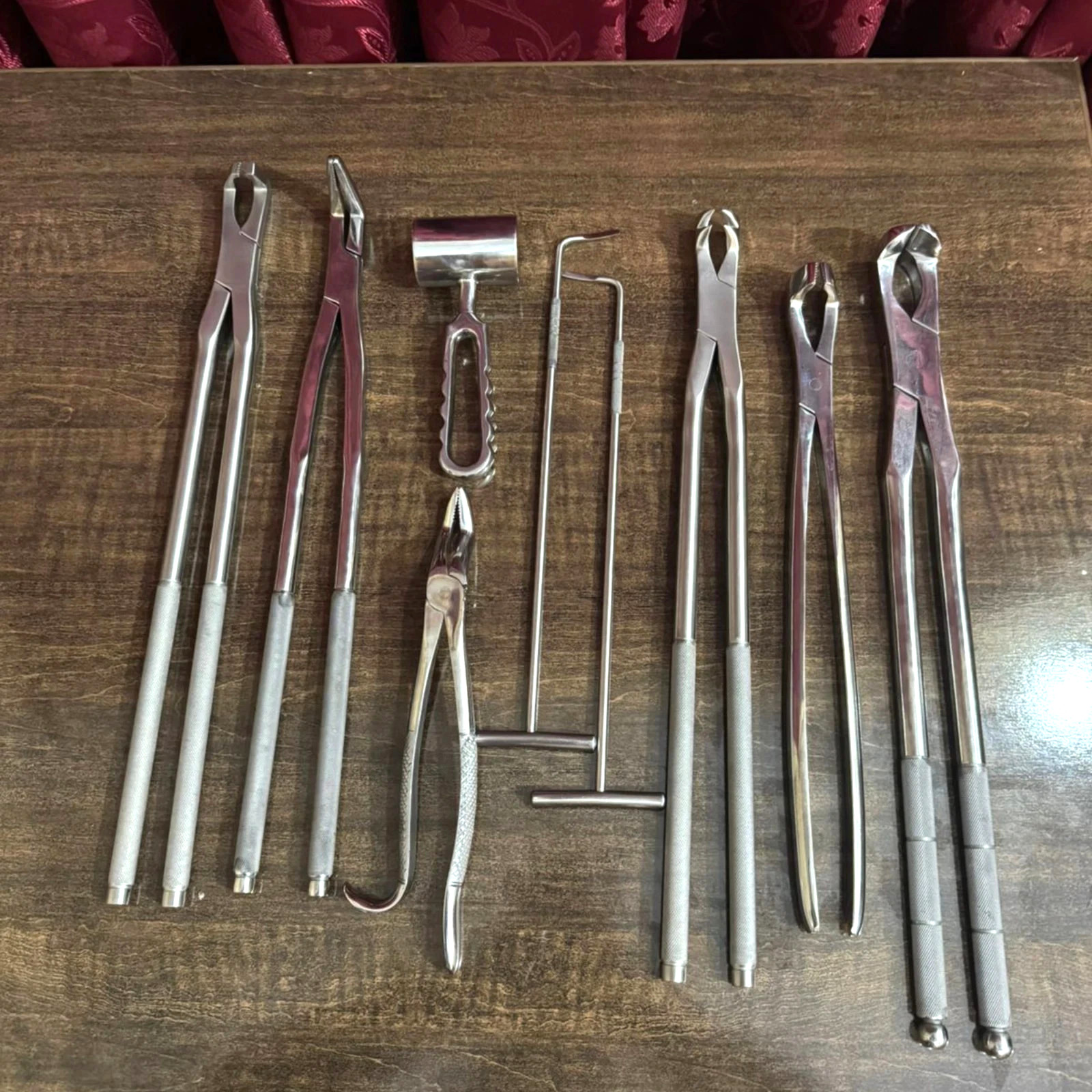 Veterinary Equine Dental Tool Set | Horse Dental Equipment | Stainless Steel