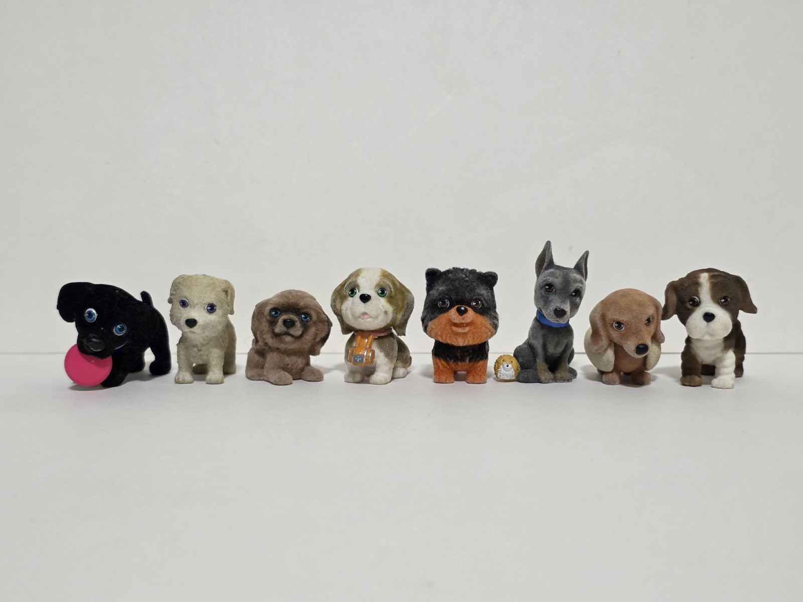 Lot Of 8 Puppy in My Pocket Flocked Fuzzy Puppy Dogs Mixed Series Lot Of 8 Puppy in My Pocket Flocked Fuzzy Puppy Dogs Mixed Series