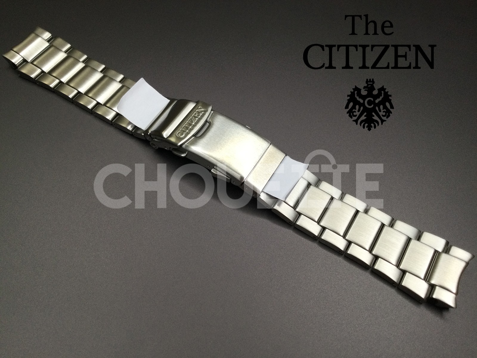 Citizen Promaster BN0165-55L, BN0168-06L 20mm Stainless Steel Watch Band w/ PINS