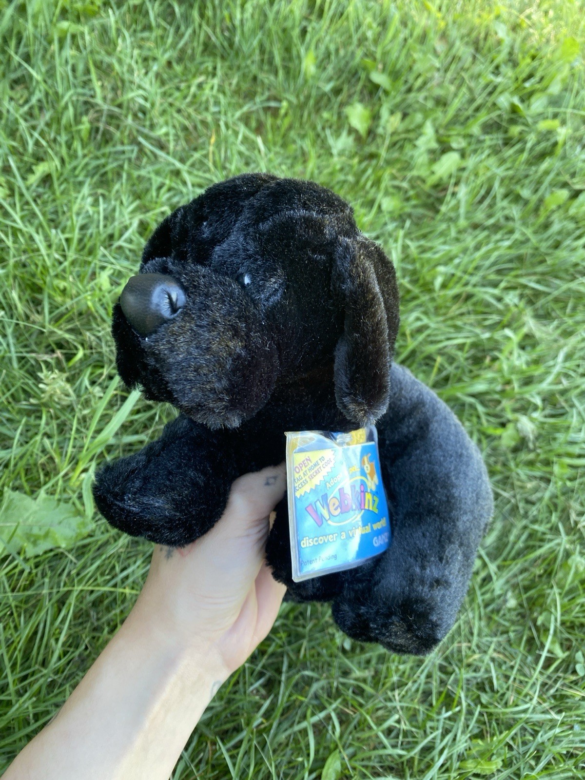 Ganz Webkinz Black Lab Labrador Dog Puppy Sealed Code NWT Retired Ganz Webkinz Black Lab Labrador Dog Puppy Sealed Code NWT Retired