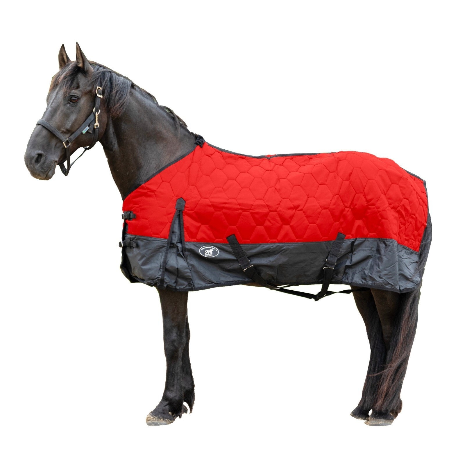 Resistance 420 Denier Quilted Nylon Horse Blanket 200gm Polyfill Resistance 420 Denier Quilted Nylon Horse Blanket 200gm Polyfill