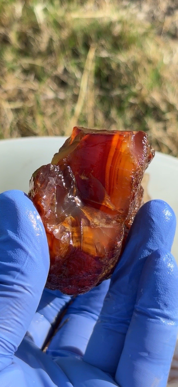 Natural PNW Carnelian Agate Rough Red Orange Chalcedony Crystal Gemstone  