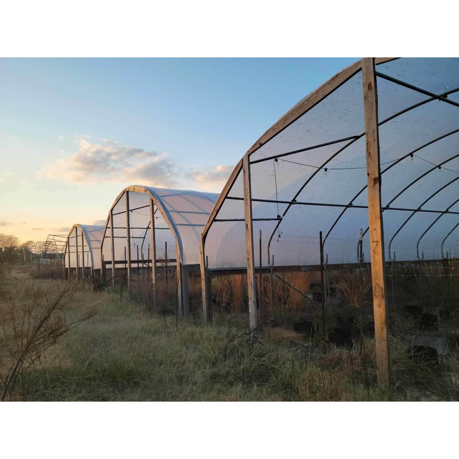 100 ft. X 20ft metal frame hoop houses