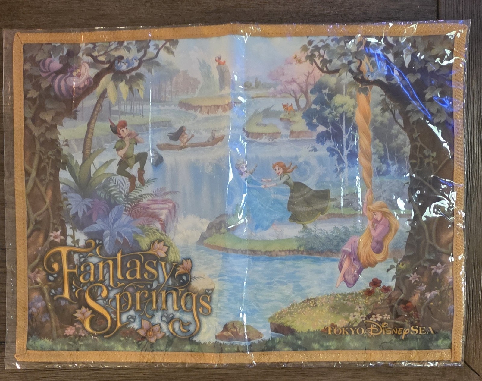 Japan Tokyo Disney Resort Fantasy Springs Souvenir Placemat Rapunzel Japan Tokyo Disney Resort Fantasy Springs Souvenir Placemat Rapunzel