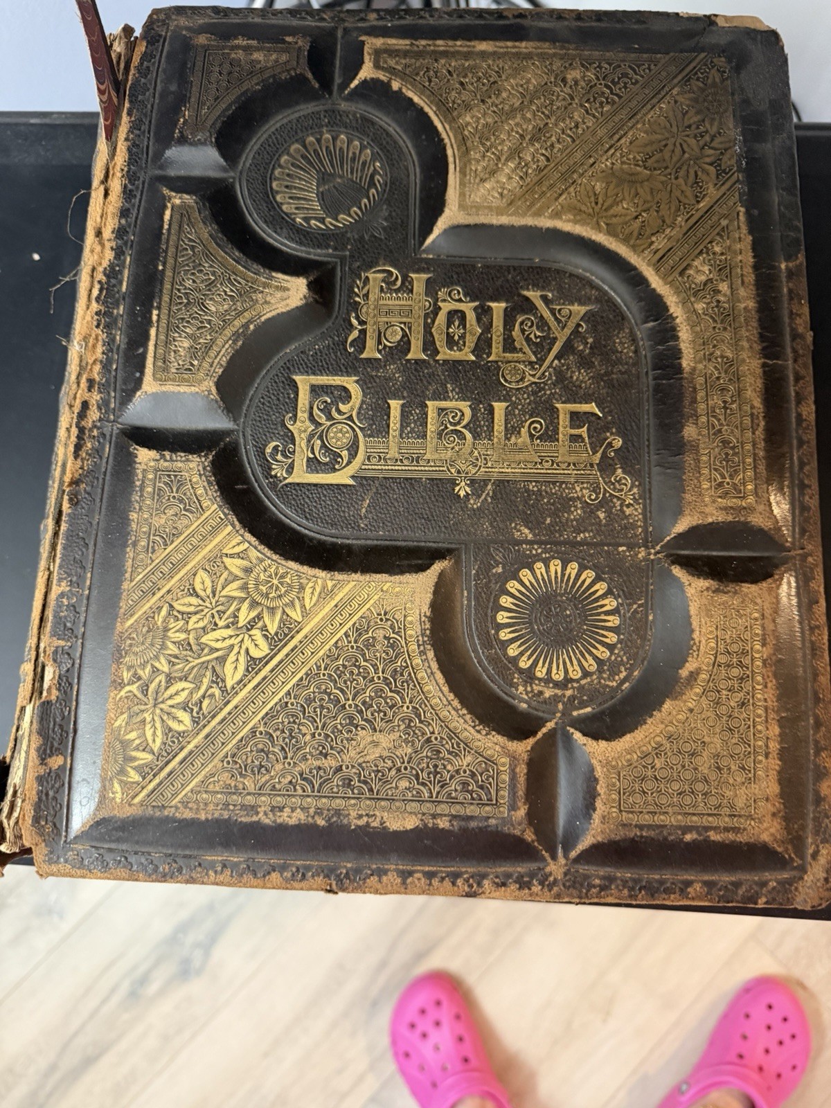 1881 Phillips & Hunt  Pictorial Family Bible “Lyons family” With Family Records