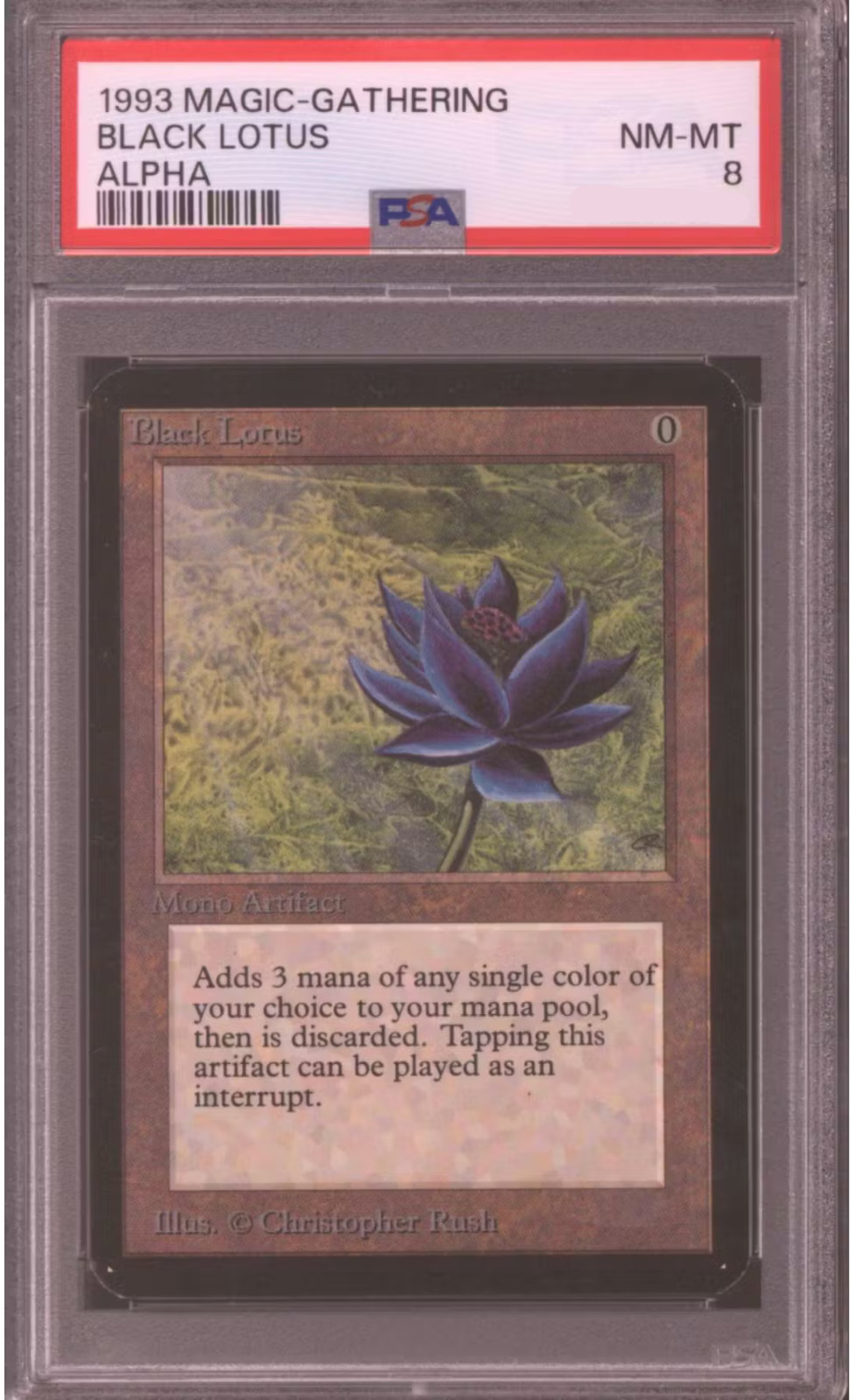Mega Vintage Graded MTG Mystery Slab | PSA BGS CGC | Magic Cards + Fast Shipping