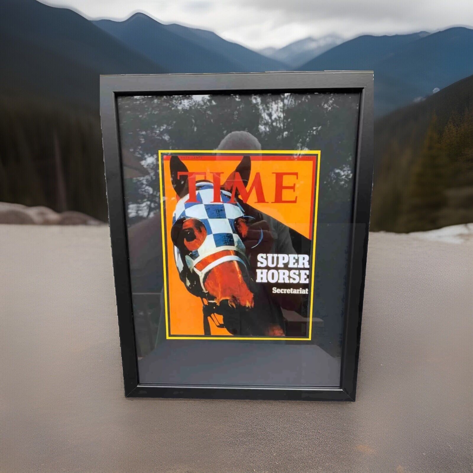 A BEAUTIFUL FRAMED TIME MAGAZINE PRINT OF THE GREAT\ A BEAUTIFUL FRAMED TIME MAGAZINE PRINT OF THE GREAT\