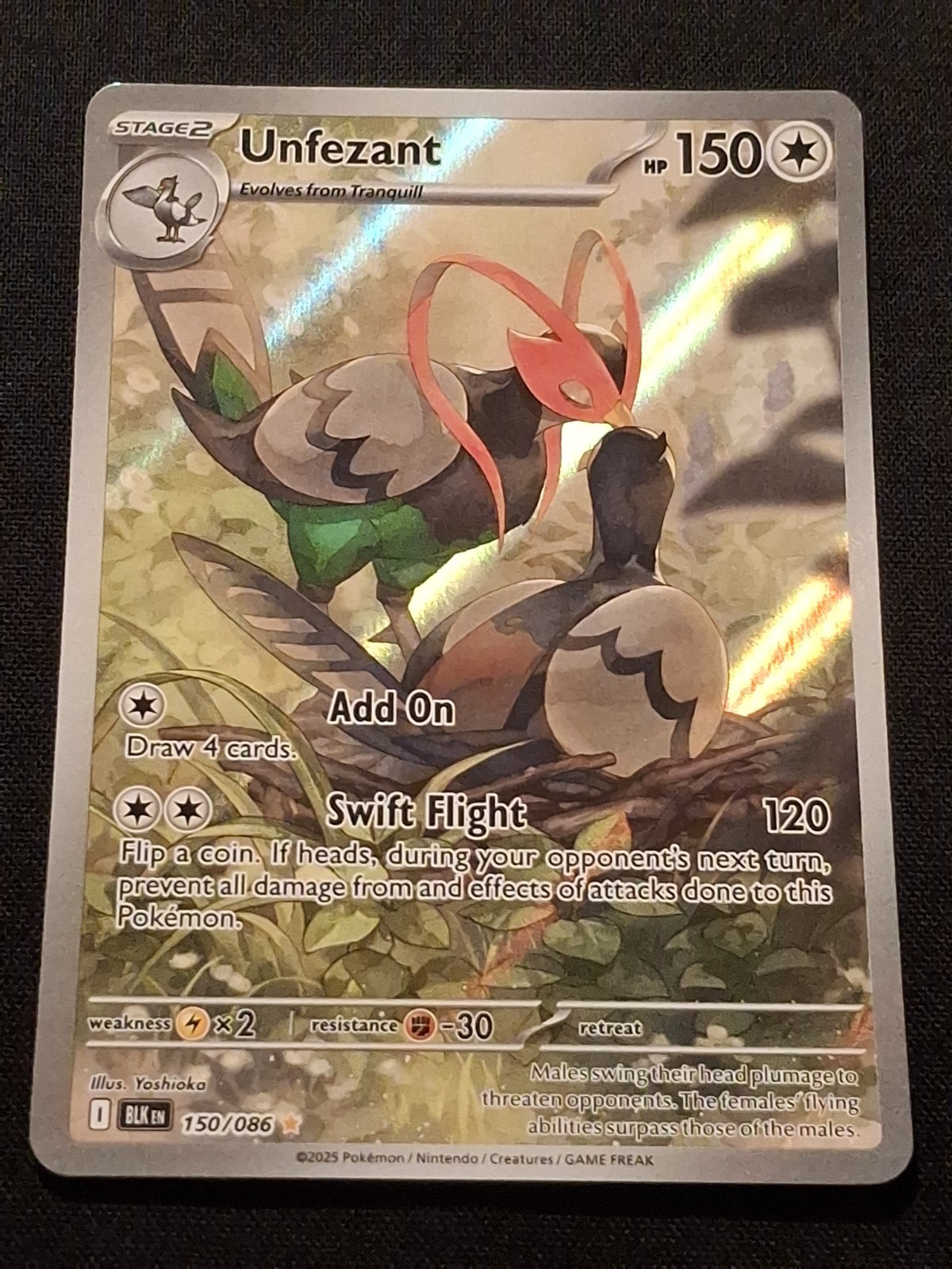 Unfezant 150/086 NM Black Bolt Holo IR Any 3 Unfezant 150/086 NM Black Bolt Holo IR Any 3