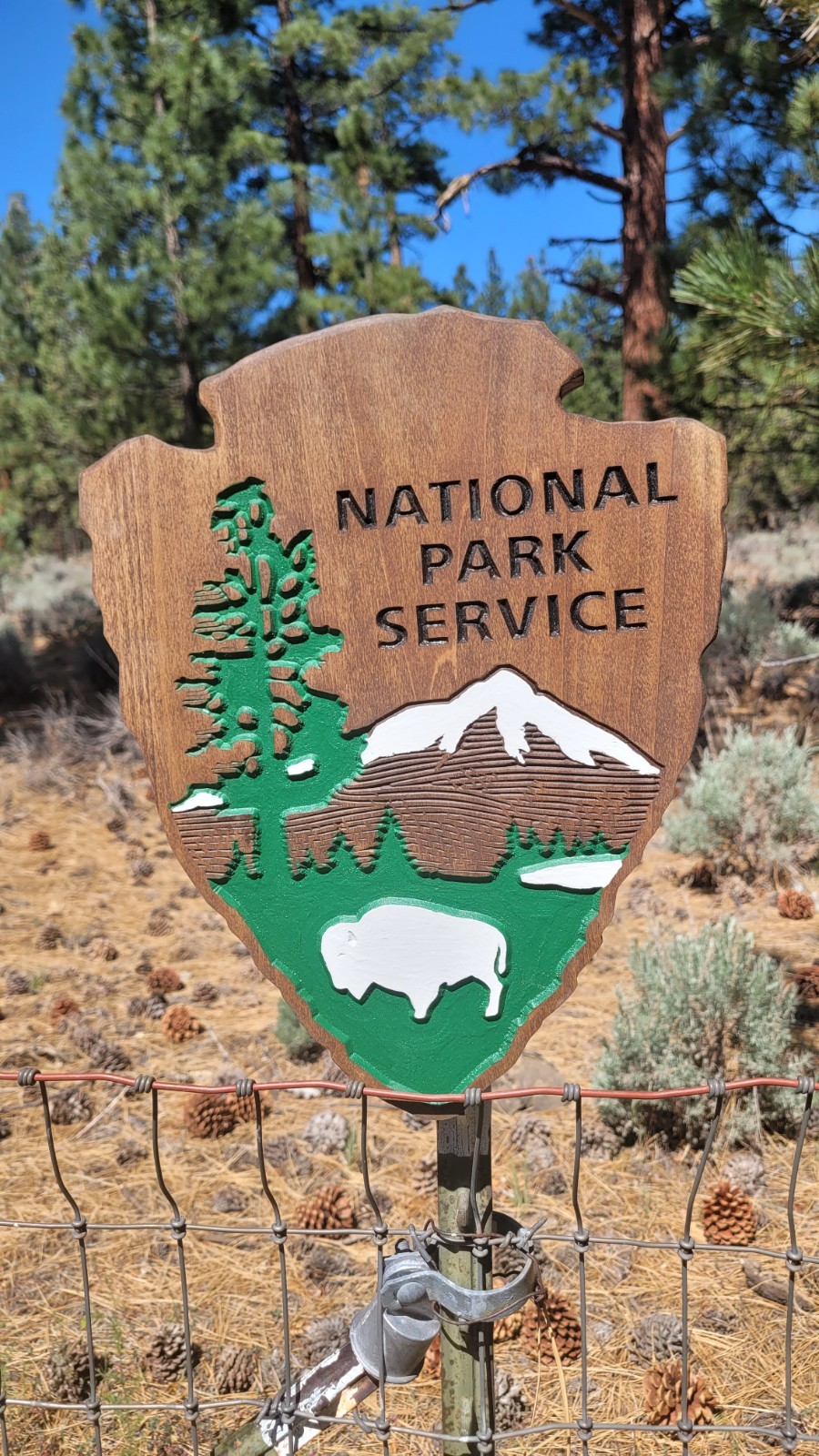WOOD CARVED NATIONAL PARK SIGN 12\