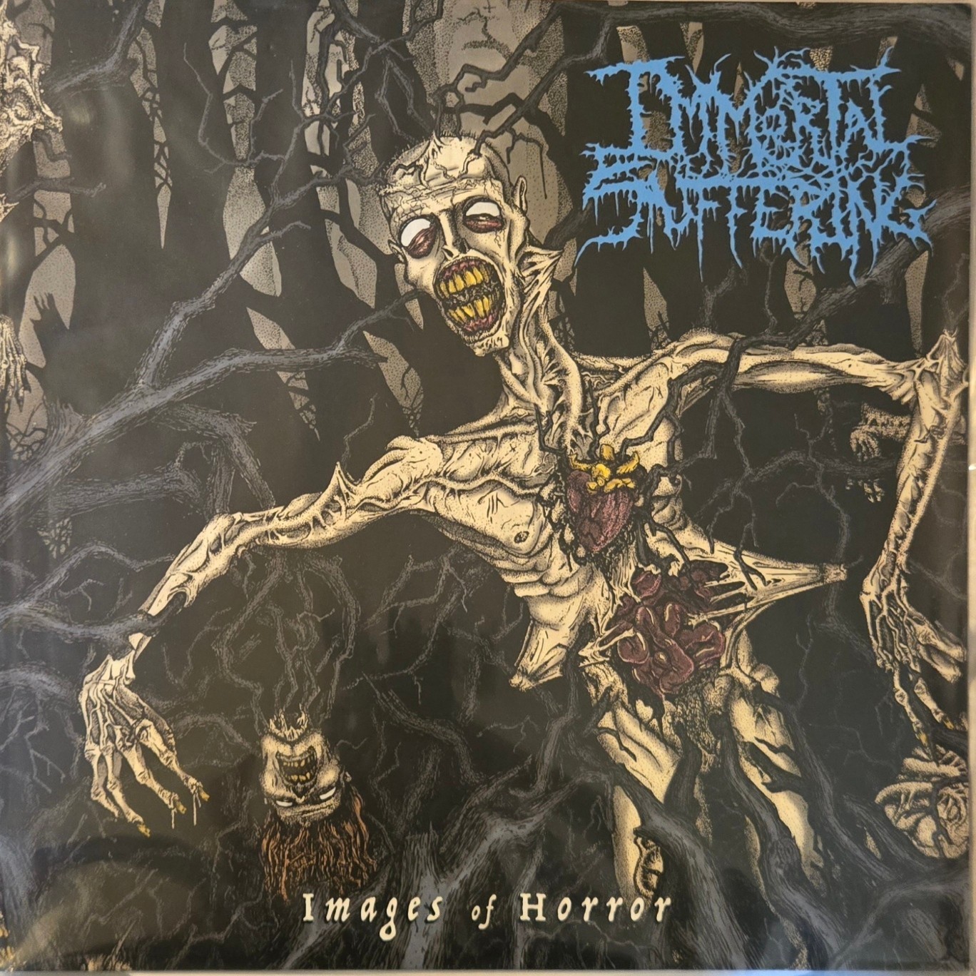 Immortal Suffering - Images Of Horror(LP/2024)SKINLESS OXIDISED RAZOR GUTRICYDE Immortal Suffering - Images Of Horror(LP/2024)SKINLESS OXIDISED RAZOR GUTRICYDE