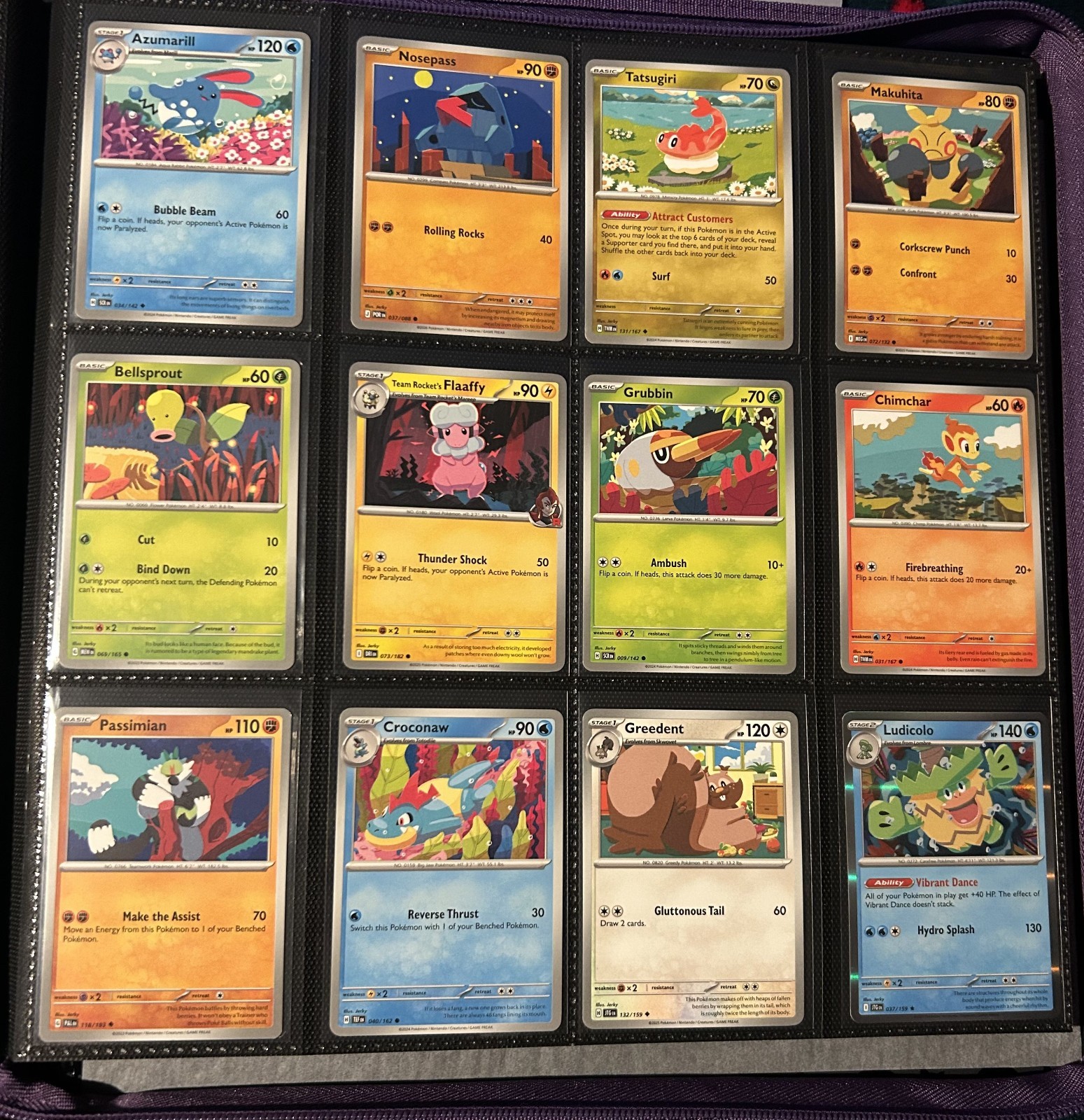 Pokemon Jerky Illustration Set (20 Unique Card Artworks + 5 Reverse Holos)