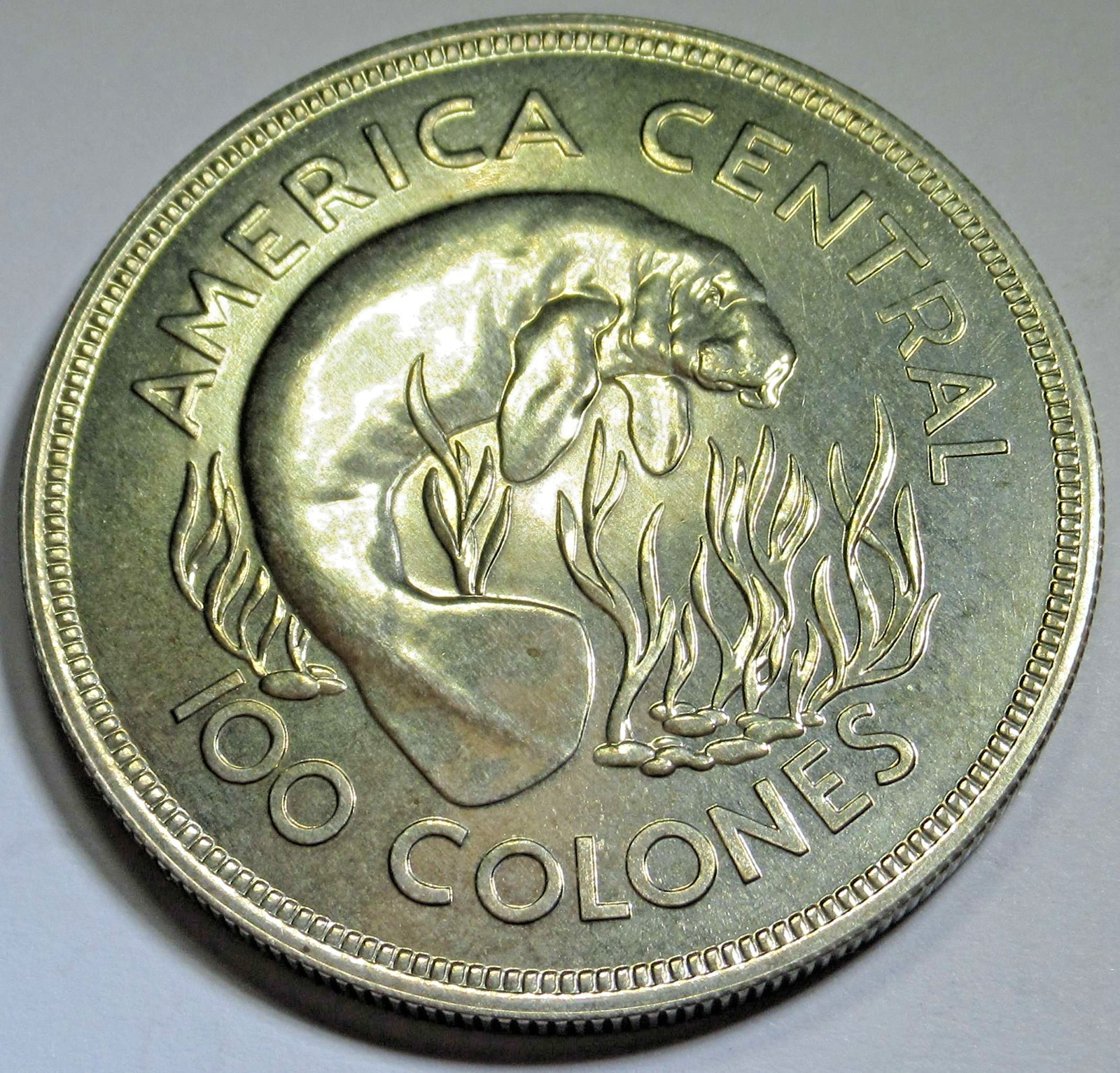 Costa Rica BU 1974 Silver 100 Colones Manitee Mintage 7,599 Rare 42mm 32.1g Coin