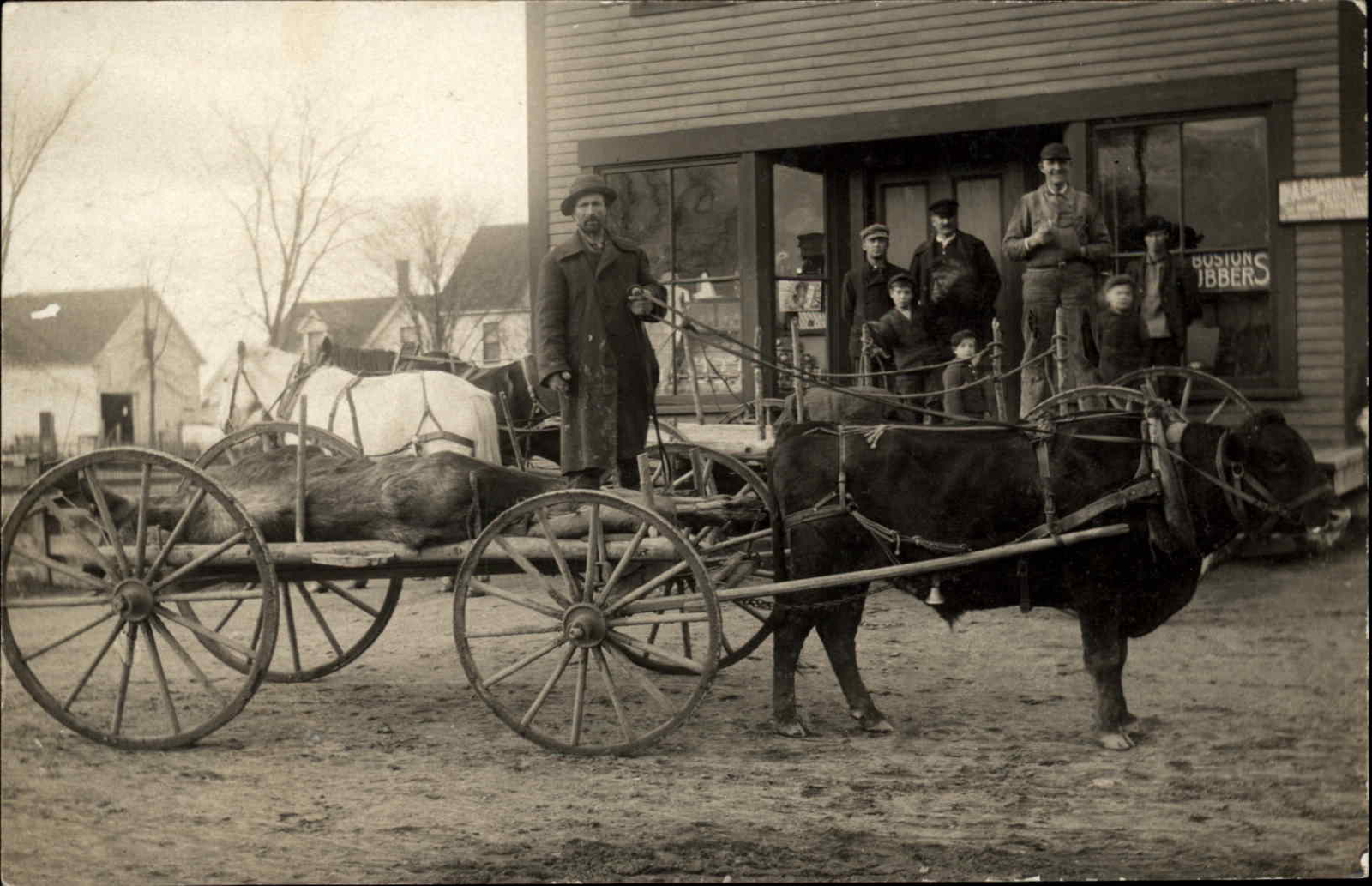 Beautiful Oxen Drawn Wagon Dead Animal Hunting Moose? +Photography RPPC Beautiful Oxen Drawn Wagon Dead Animal Hunting Moose? +Photography RPPC