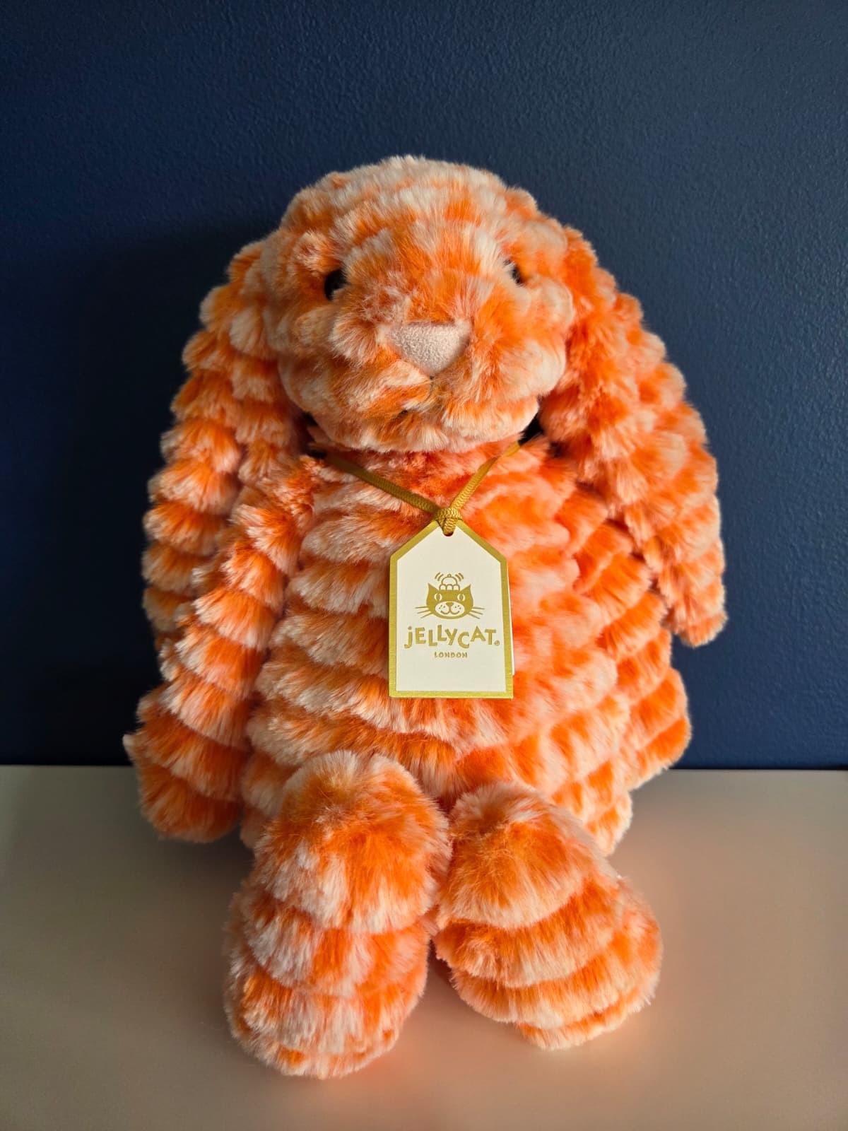 Jellycat Fizzleskip Bunny Soft Plush Toy BNWT New Bunny Exclusive Jellycat Fizzleskip Bunny Soft Plush Toy BNWT New Bunny Exclusive