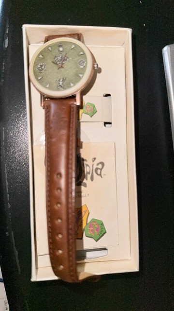 Fossil Fruitopia Rare 90\'s New Watch. Green face and Dark brown leather band. Fossil Fruitopia Rare 90\'s New Watch. Green face and Dark brown leather band.