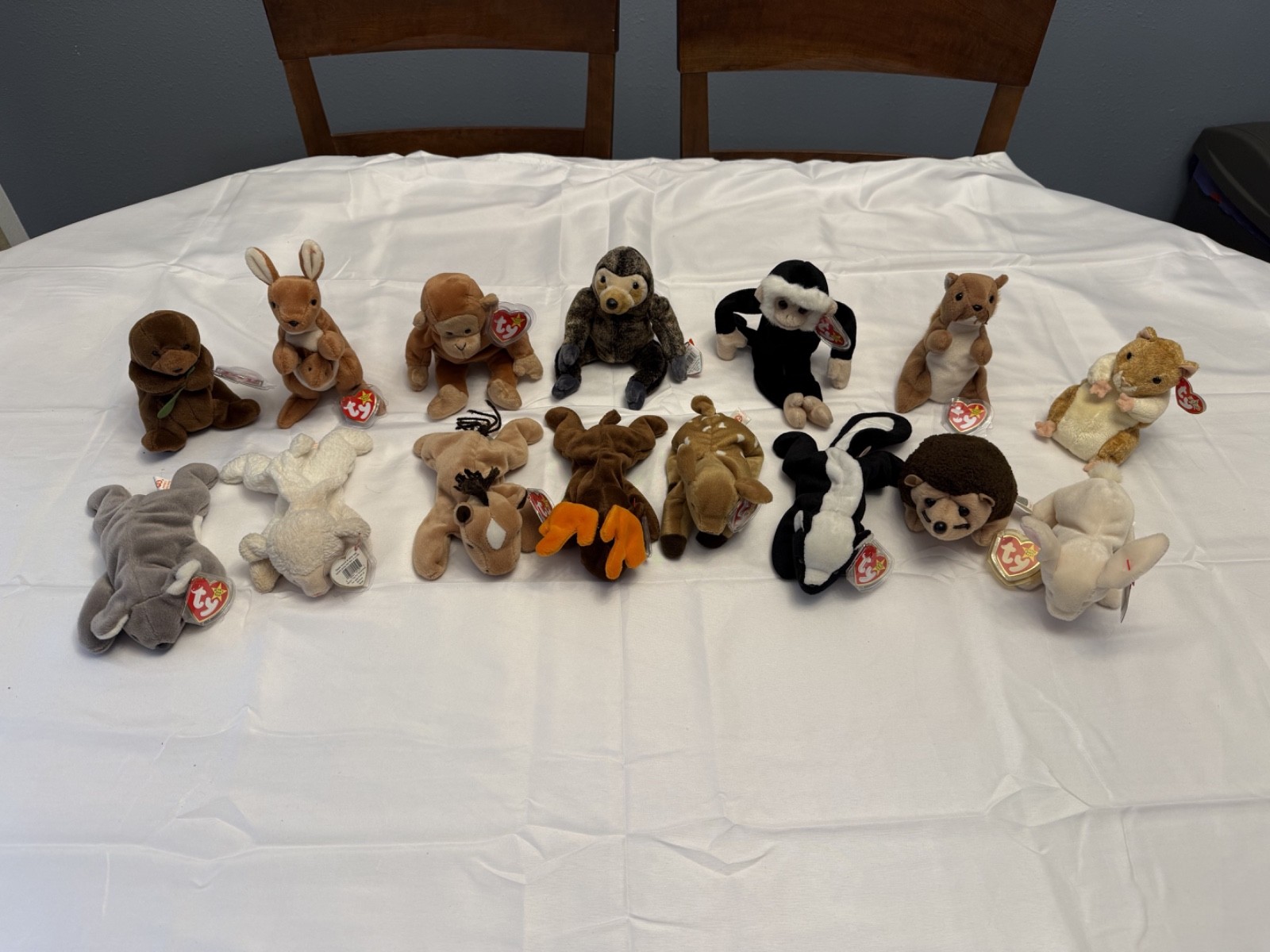 Ty Beanie Babies Lot of 15 Animals Bongo Derby Chocolate Pouch Vintage Tags