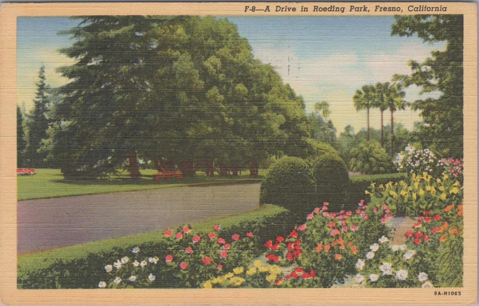 Fresno CA Roeding Park Botanical Drive Western Publishing Linen 1945 Postcard