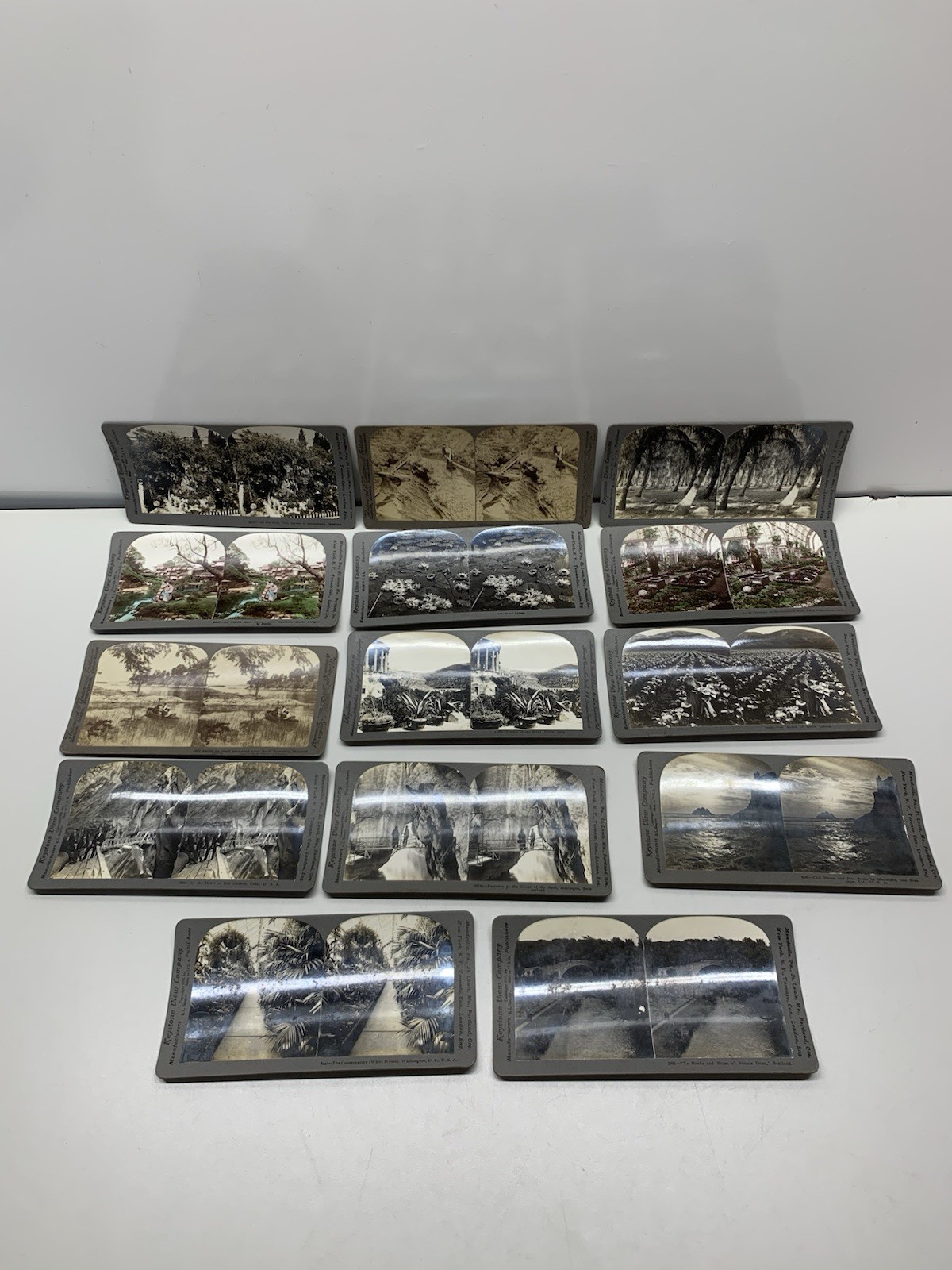 Vintage Nature Plants Scenery Stereoview Lot Of 14