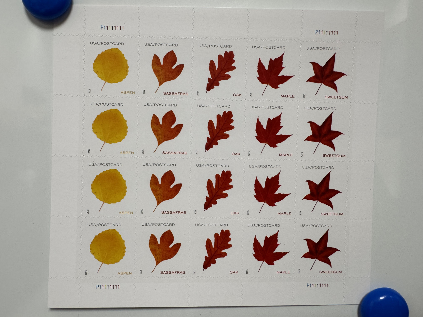 [100 Pcs] MNH US Vibrant Leaves Postcard Postage Stamps Scott# 5966-5970 Lot