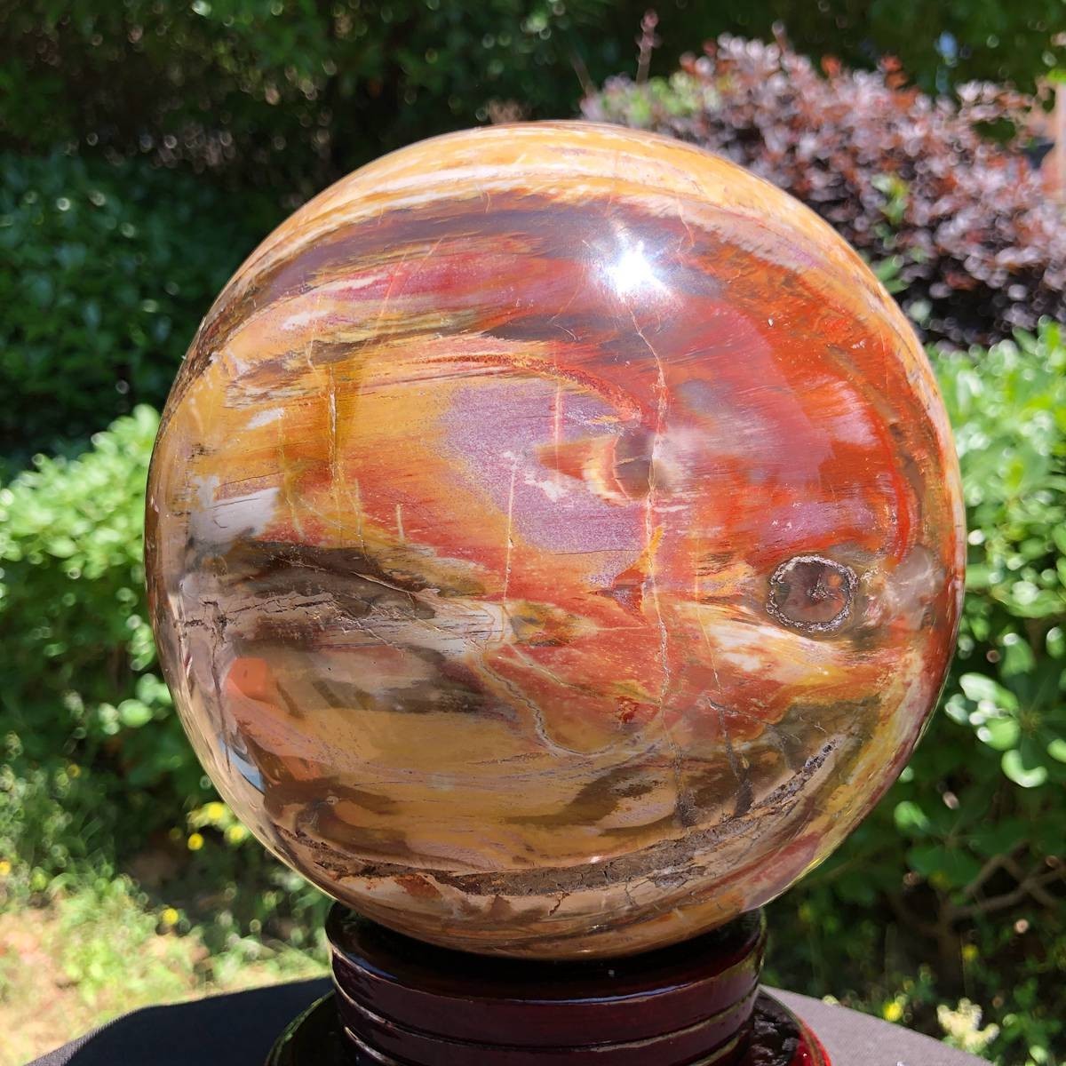 5410g  Polished Natural Petrified Wood Sphere Mineral Specimen Auction  MH5660