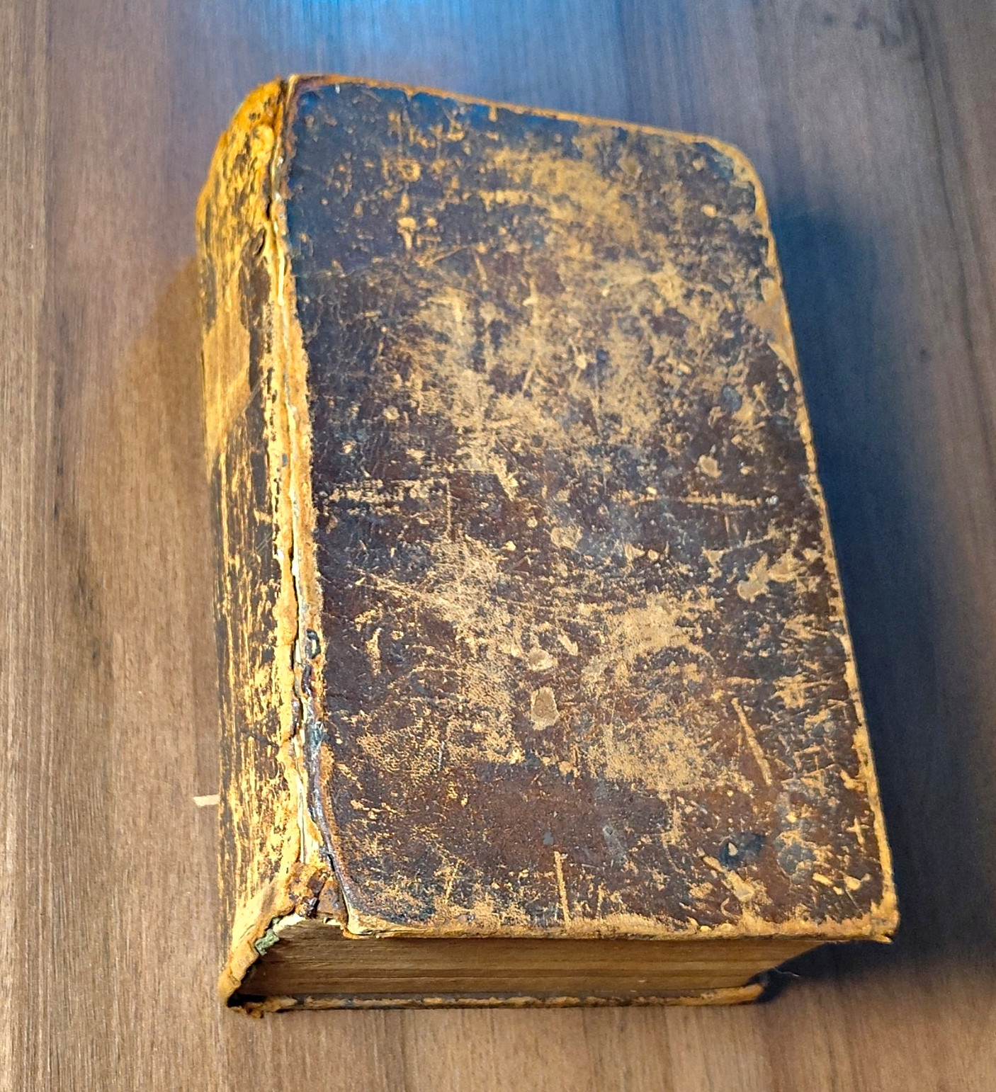 Early 19th Century T. Scott Holy Bible English Leather Binding Book