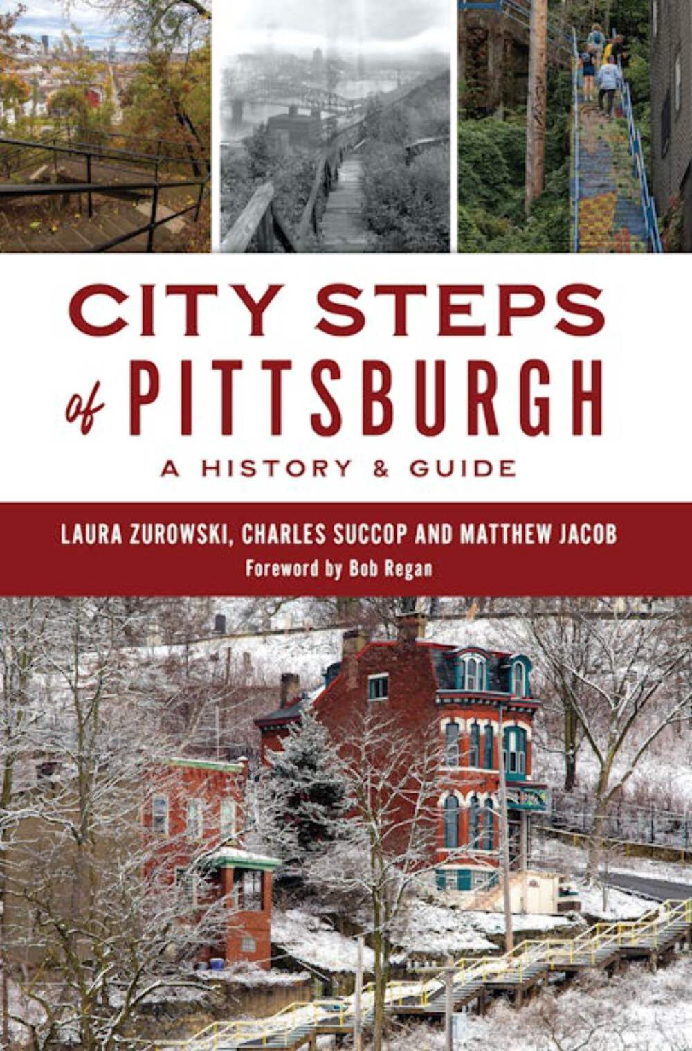 NEW The History Press City Steps of Pittsburgh, PA 9781467156721 History & Guide