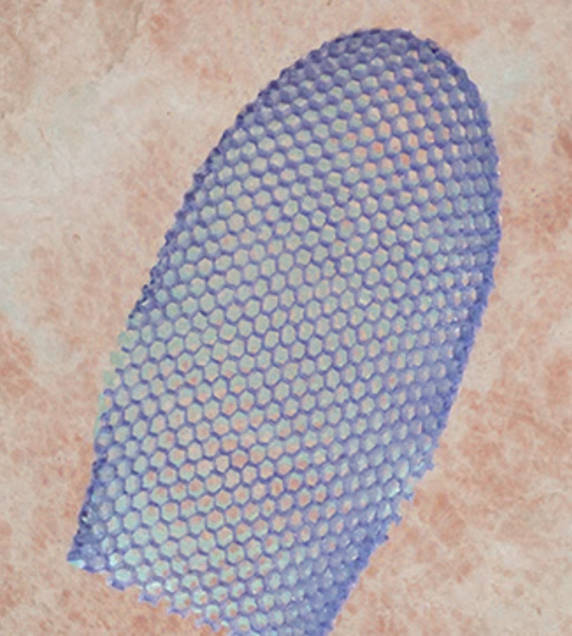 Supracor Stimulite Honeycomb Dual-Sided Softer/Firmer Bath Mitt