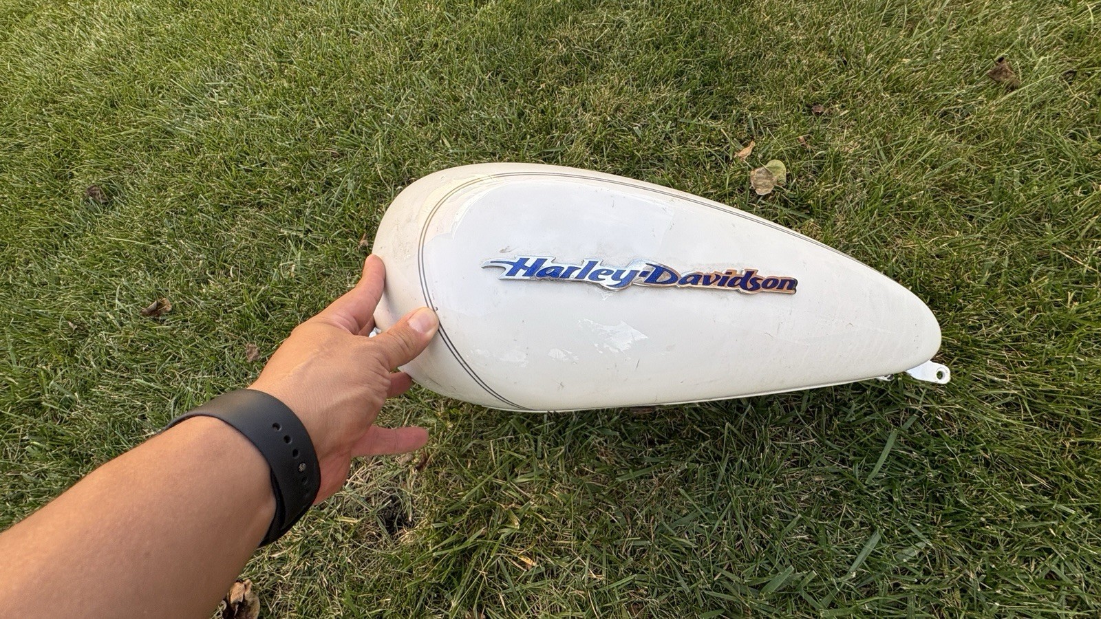 2003 Harley-Davidson Sportster 883 Custom 100th Anniversary Pearl White Gas Tank 2003 Harley-Davidson Sportster 883 Custom 100th Anniversary Pearl White Gas Tank
