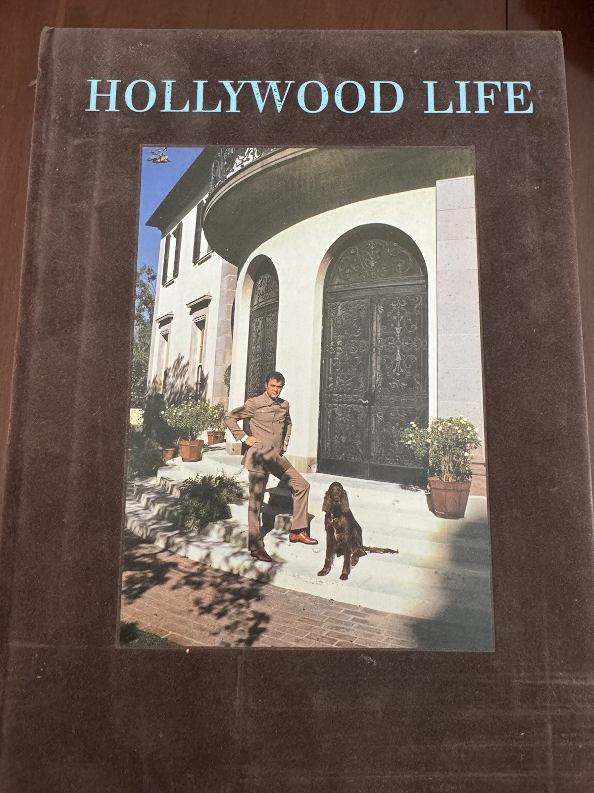 Hollywood Life The Glamorous Homes of Vintage Hollywood Eliot Elisofon 1st ed Hollywood Life The Glamorous Homes of Vintage Hollywood Eliot Elisofon 1st ed